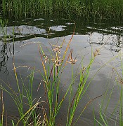 IMG_4976