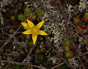 IMG_0040