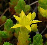 IMG_0047