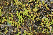 IMG_0050