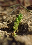 IMG_2590