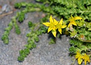 IMG_5815