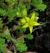 IMG_6664