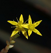 IMG_9810
