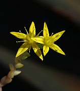 IMG_9811