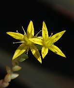 IMG_9812