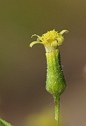 IMG_0911