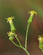 IMG_0912