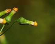 IMG_6270