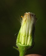 IMG_1770