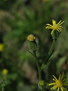 IMG_3435