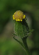 IMG_3435b