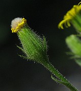 IMG_3439