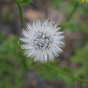 IMG_9276