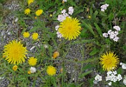 IMG_3900