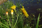 IMG_0407