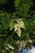 IMG_1863