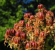 IMG_3553