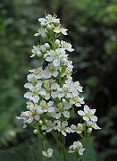IMG_3895