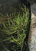 IMG_4583