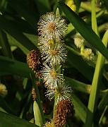 IMG_6449