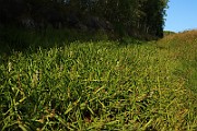 IMG_6451