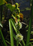 IMG_7696