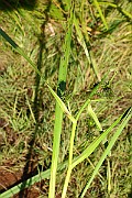 IMG_1023