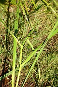 IMG_1024