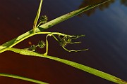 IMG_1028
