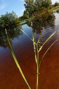 IMG_1029