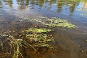 IMG_1437