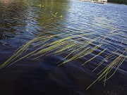 P1040236