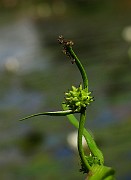 IMG_2053