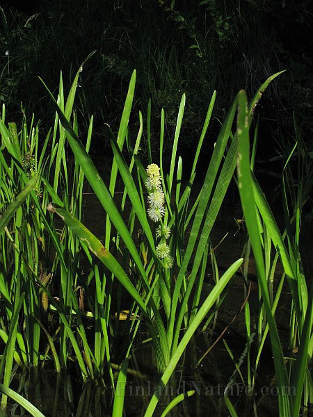 IMG_3837.jpg