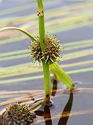 IMG_1906
