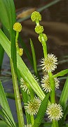 IMG_3727