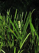IMG_3837
