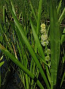 IMG_3838