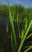 IMG_3839