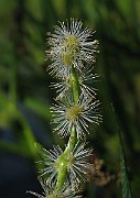 IMG_3840