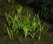 IMG_3841