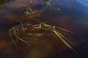 IMG_6774