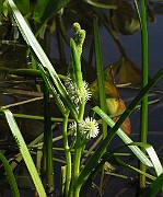 IMG_7698