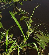 IMG_7714