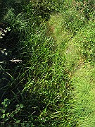 IMG_9026
