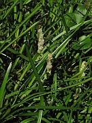 IMG_9027