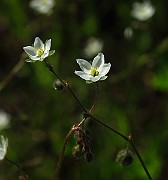 IMG_9570
