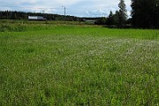 IMG_9572