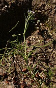IMG_1192